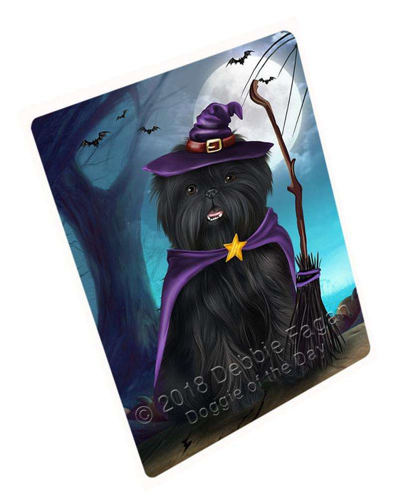Happy Halloween Trick or Treat Affenpinscher Dog Witch Blanket BLNKT89283