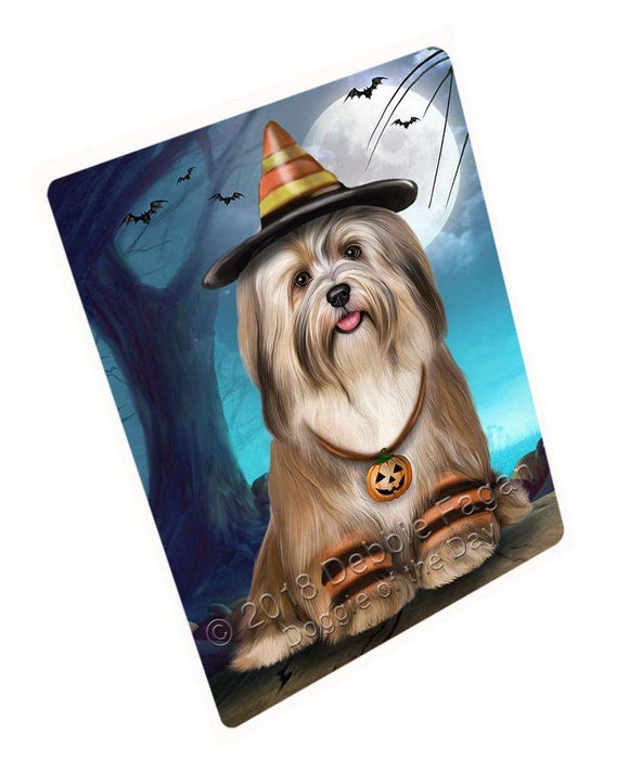 Happy Halloween Trick or Treat Havanese Dog Large Refrigerator / Dishwasher Magnet RMAG88656