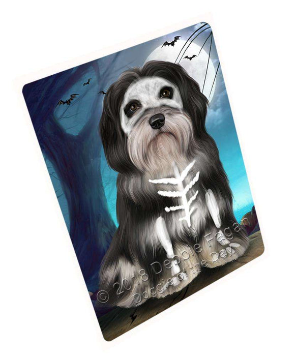 Happy Halloween Trick or Treat Havanese Dog Large Refrigerator / Dishwasher Magnet RMAG88662