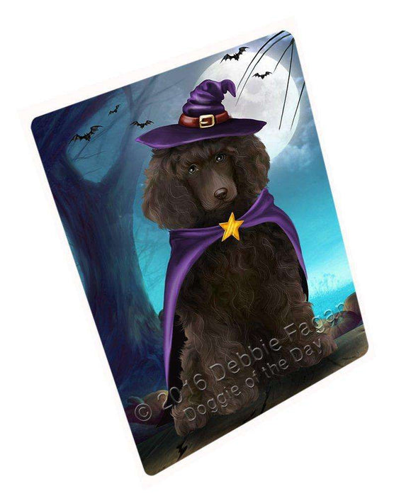 Happy Halloween Trick or Treat Poodle Dog Witch Art Portrait Print Woven Throw Sherpa Plush Fleece Blanket