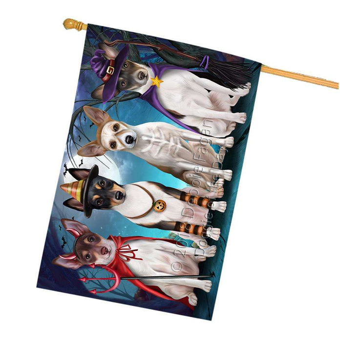 Happy Halloween Trick or Treat Rat Terrier Dog House Flag FLG52668