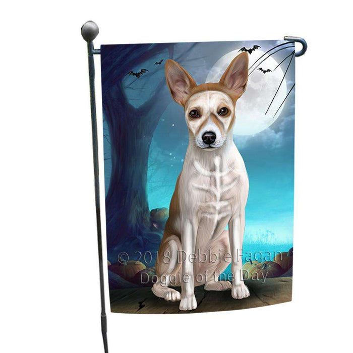 Happy Halloween Trick or Treat Rat Terrier Dog Skeleton Garden Flag GFLG52494