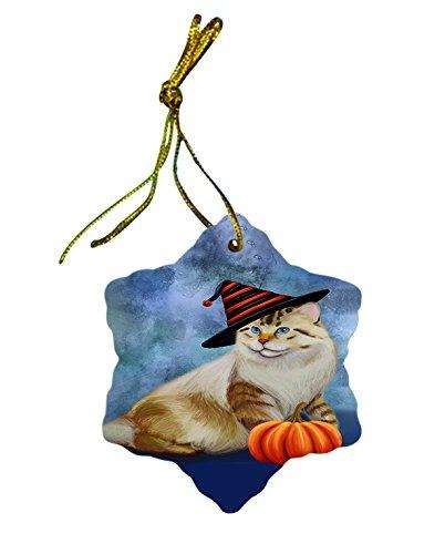 Happy Holidays American Bobtail Cat Wearing Witch Hat Christmas Star Porcelain Ornament POR2336