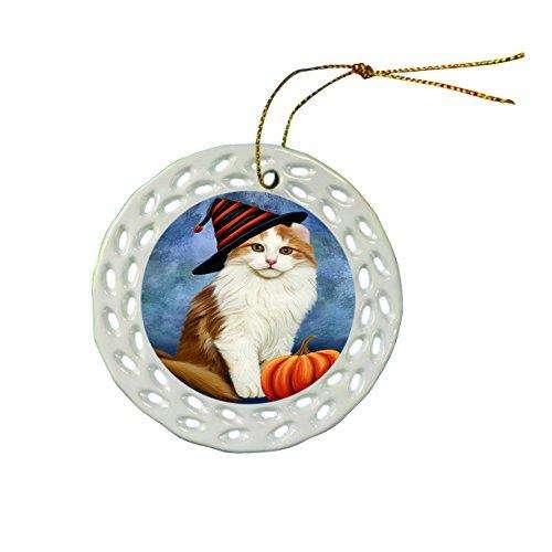 Happy Holidays American Curl Cat Wearing Witch Hat Christmas Round Porcelain Ornament POR014