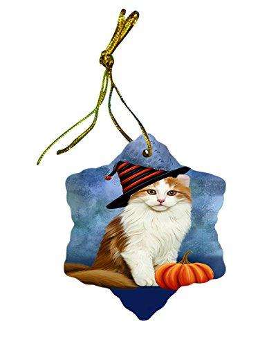 Happy Holidays American Curl Cat Wearing Witch Hat Christmas Star Porcelain Ornament POR2337