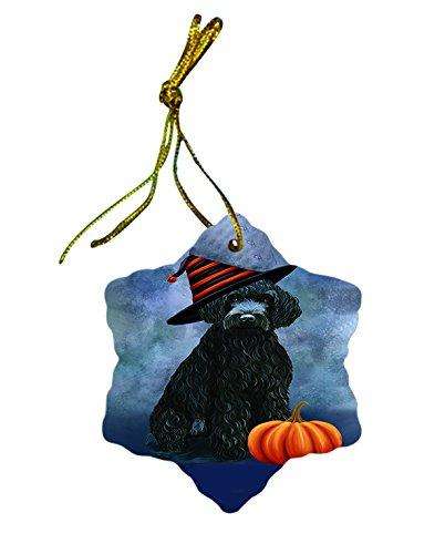 Happy Holidays Barbet Dog Wearing Witch Hat Christmas Star Porcelain Ornament POR2345