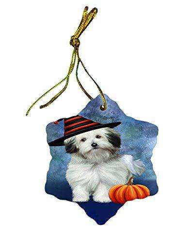 Happy Holidays Bolognese Dog Wearing Witch Hat Christmas Star Porcelain Ornament POR2358