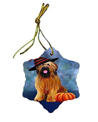 Happy Holidays Briard Dog Wearing Witch Hat Christmas Star Porcelain Ornament POR2364