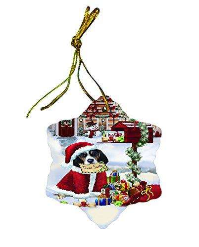 Happy Holidays MailBox Treeing Walker Coonhound Dog Christmas Star Porcelain Ornament POR2688