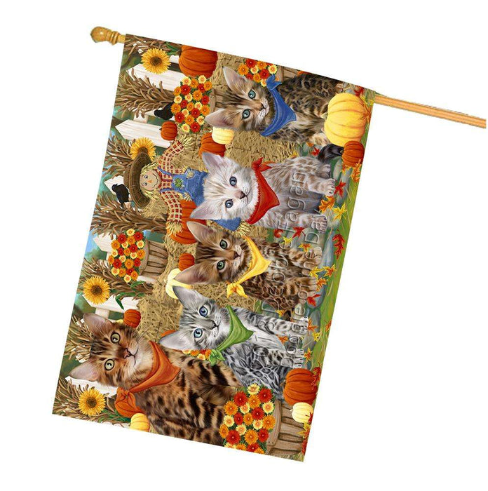 Harvest Time Festival Day Bengal Cats House Flag FLG52445