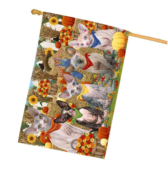 Harvest Time Festival Day Sphynx Cats House Flag FLG52459