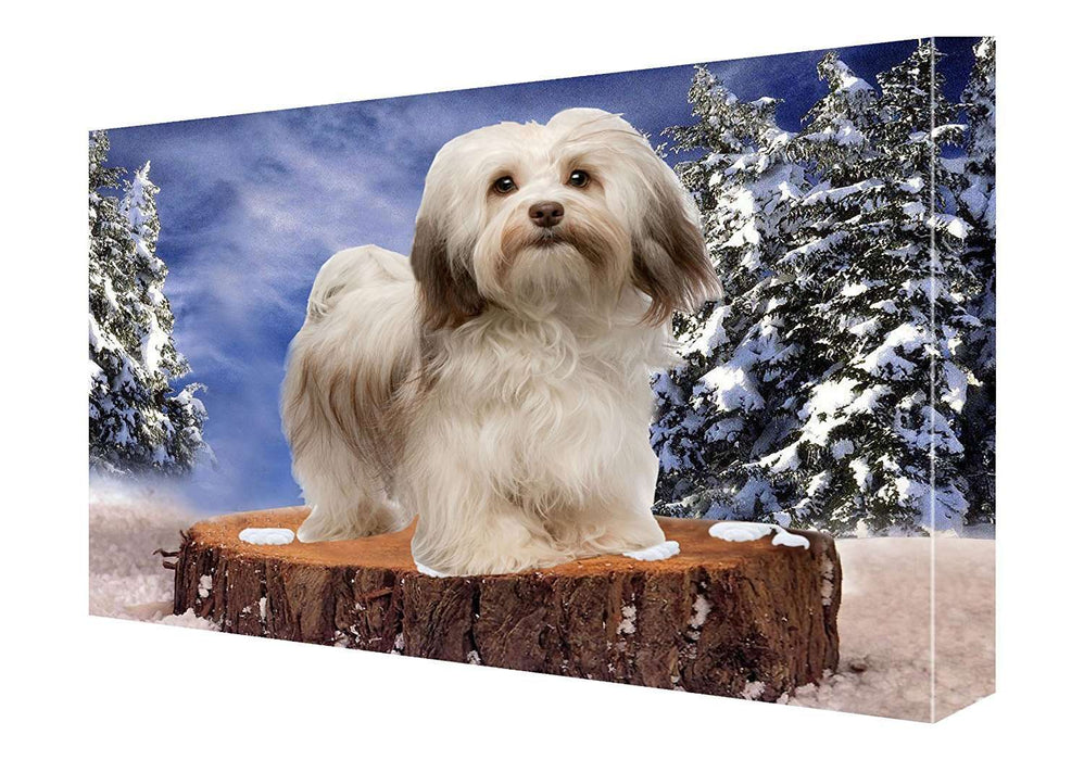 Havanese Canvas 18 x 24