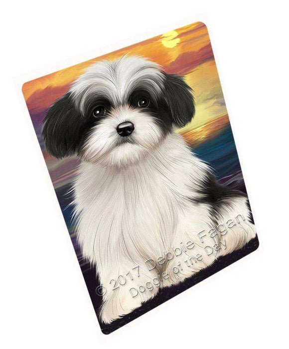 Havanese Dog Blanket BLNKT51987
