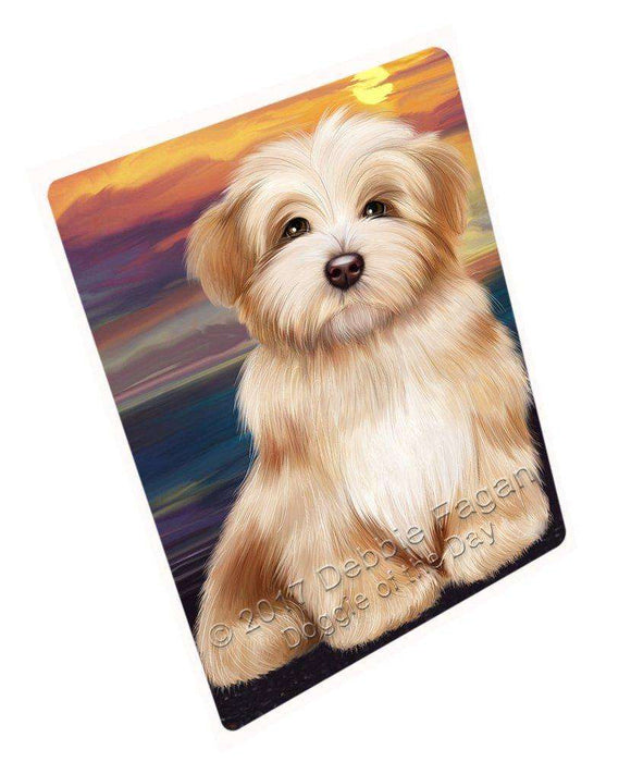 Havanese Dog Blanket BLNKT52005
