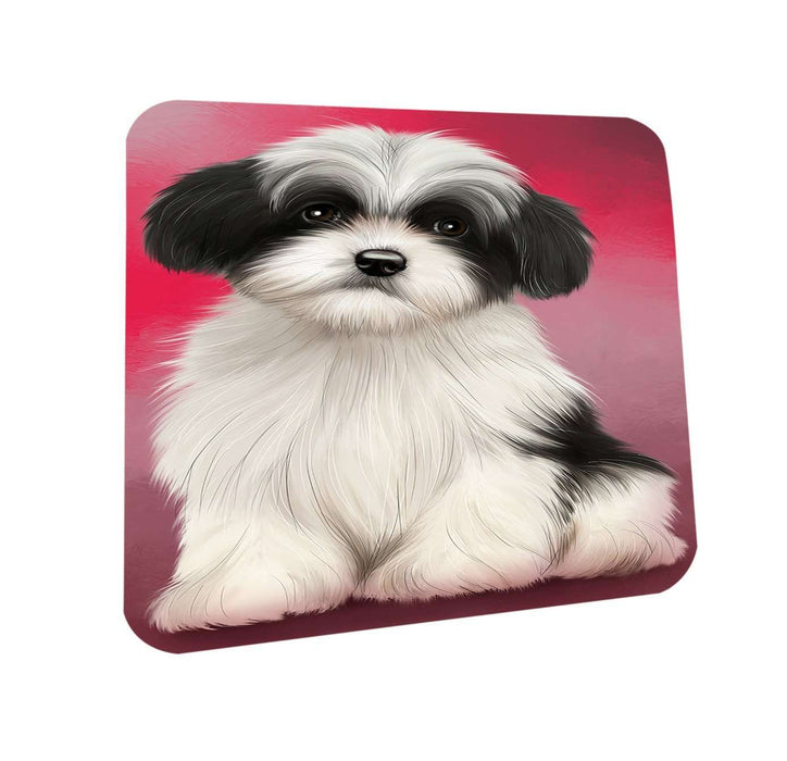 Havanese Dog Coasters Set of 4 CST48277