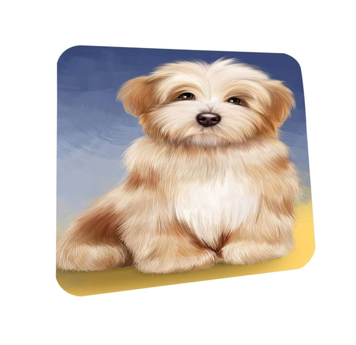 Havanese Dog Coasters Set of 4 CST48279