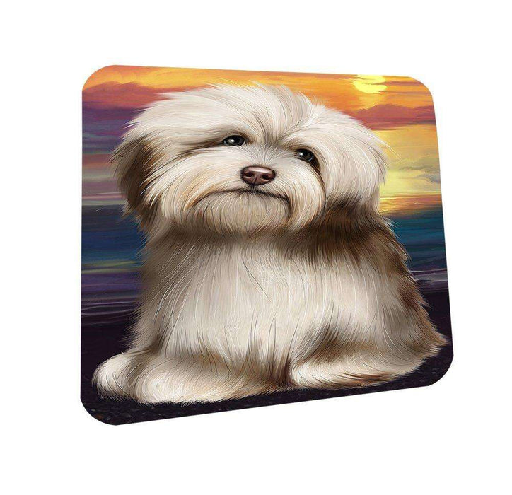 Havanese Dog Coasters Set of 4 CST48454