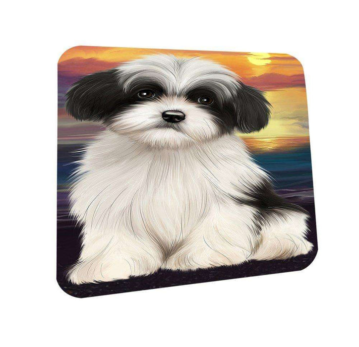 Havanese Dog Coasters Set of 4 CST48455