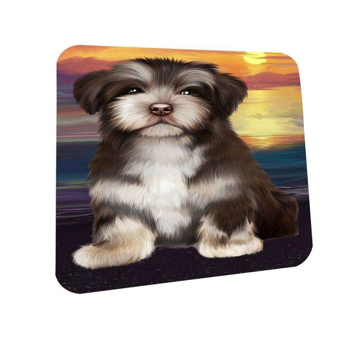 Havanese Dog Coasters Set of 4 CST48456