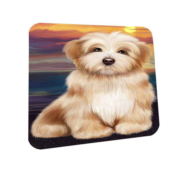 Havanese Dog Coasters Set of 4 CST48457