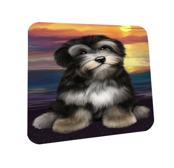 Havanese Dog Coasters Set of 4 CST48458