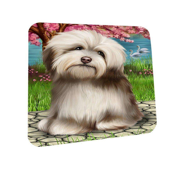 Havanese Dog Coasters Set of 4 CST48460