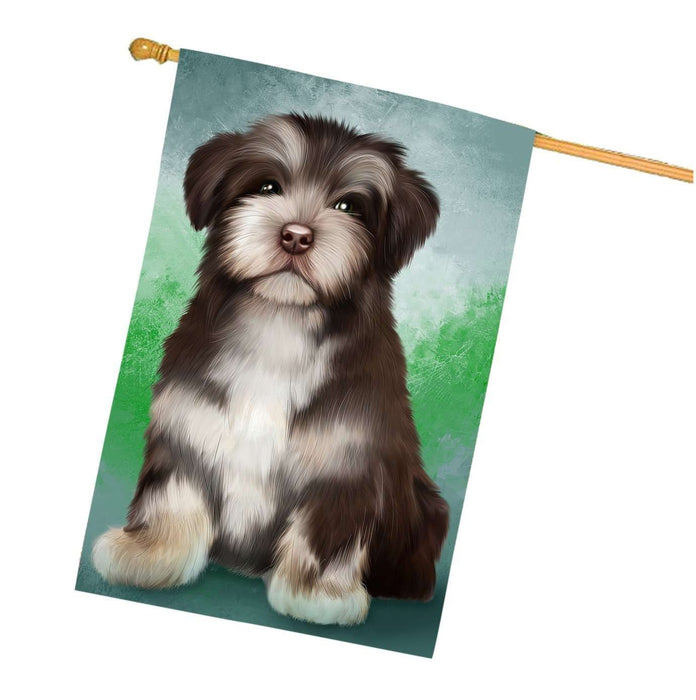 Havanese Dog House Flag FLG48266