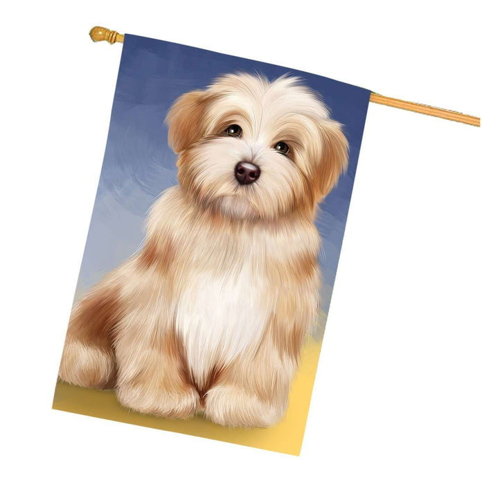 Havanese Dog House Flag FLG48267