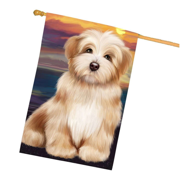 Havanese Dog House Flag FLG48511