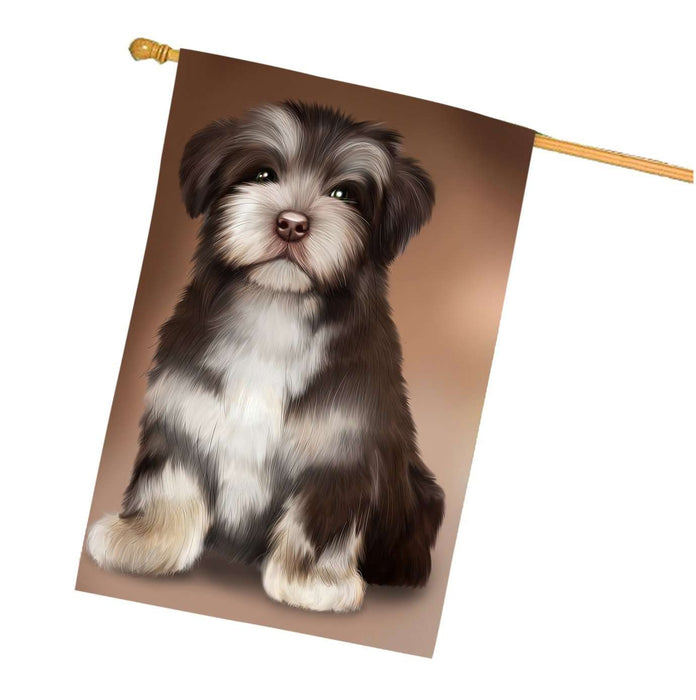 Havanese Dog House Flag FLG48513