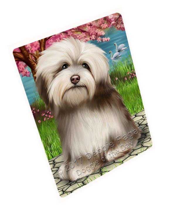 Havanese Dog Large Refrigerator / Dishwasher RMAG50688