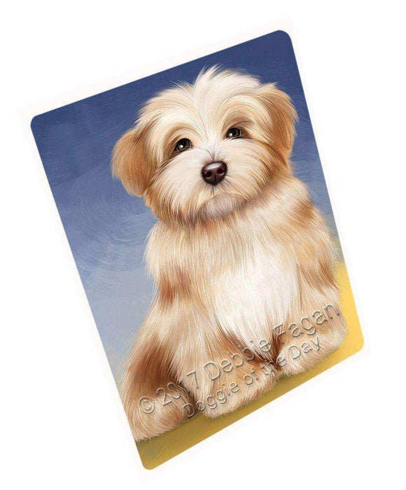 Havanese Dog Magnet Mini (3.5" x 2") MAG48975