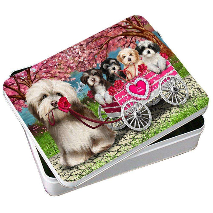 Havanese Dogs Photo Storage Tin PITN48141