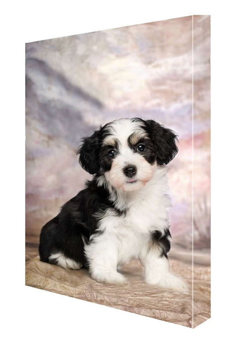 Havanese Puppy Dog Canvas 18 x 24