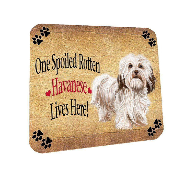 Havanese Spoiled Rotten Dog Coasters Set of 4