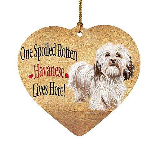Havanese Spoiled Rotten Dog Heart Christmas Ornament