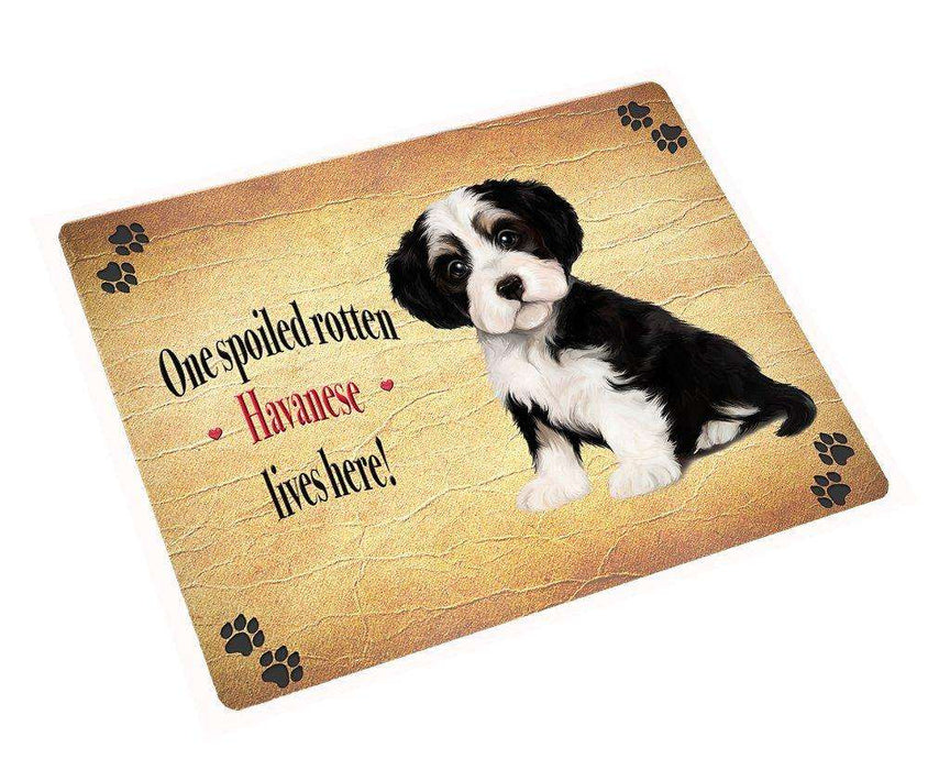 Havanese Spoiled Rotten Dog Large Refrigerator / Dishwasher Magnet 11.5" x 17.6"