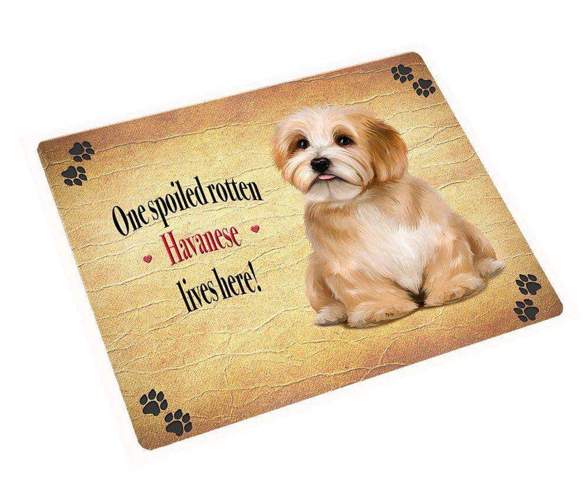 Havanese Spoiled Rotten Dog Large Refrigerator / Dishwasher Magnet 11.5" x 17.6"