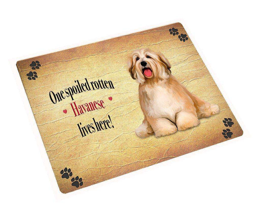 Havanese Spoiled Rotten Dog Large Refrigerator / Dishwasher Magnet 11.5" x 17.6"