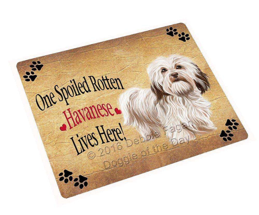 Havanese Spoiled Rotten Dog Magnet