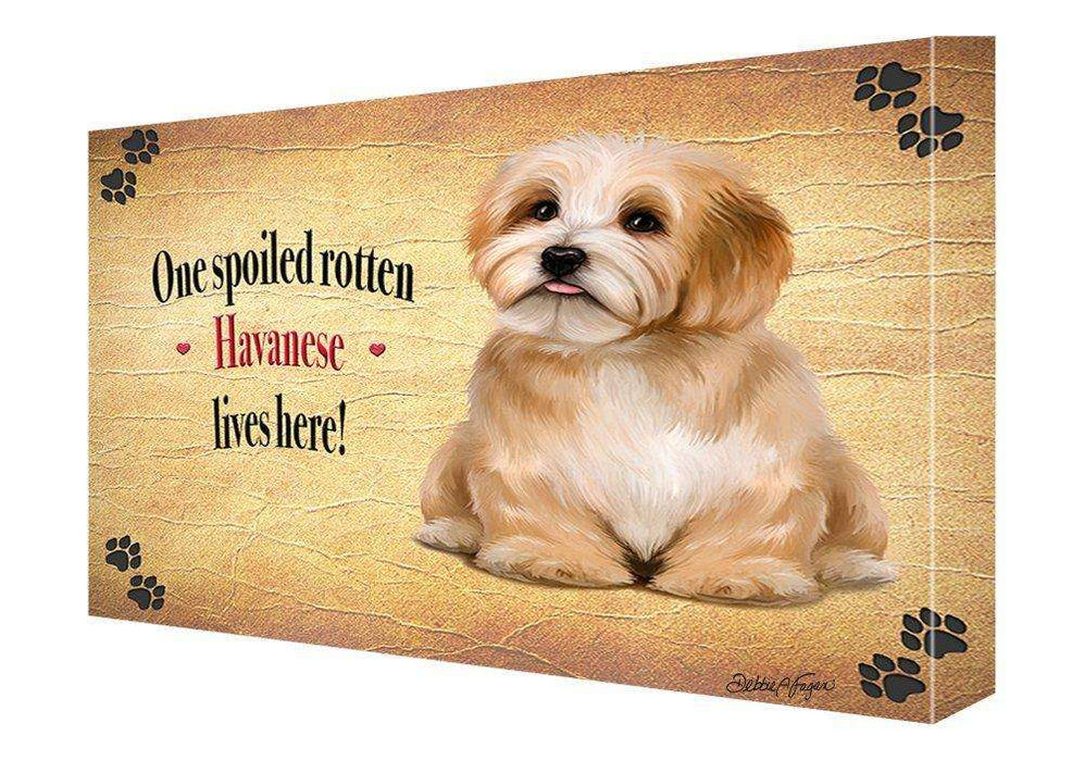 Havanese Spoiled Rotten Dog Painting Printed on Canvas Wall Art Signed