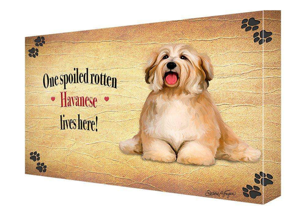 Havanese Spoiled Rotten Dog Painting Printed on Canvas Wall Art Signed