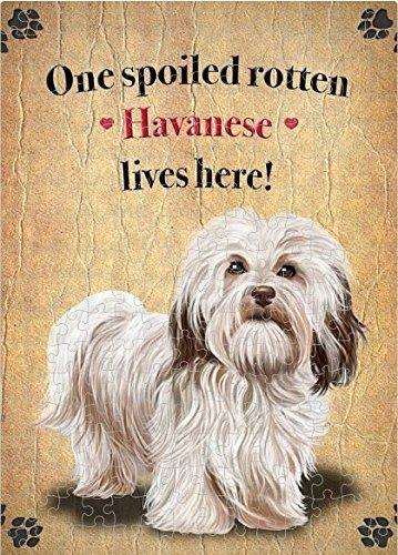 Havanese Spoiled Rotten Dog Puzzle with Photo Tin