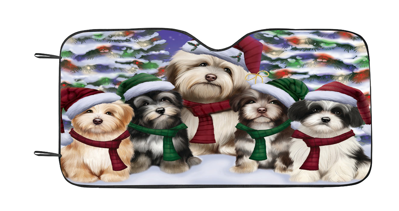 Havanese Dogs Christmas Family Portrait in Holiday Scenic Background Car Sun Shade