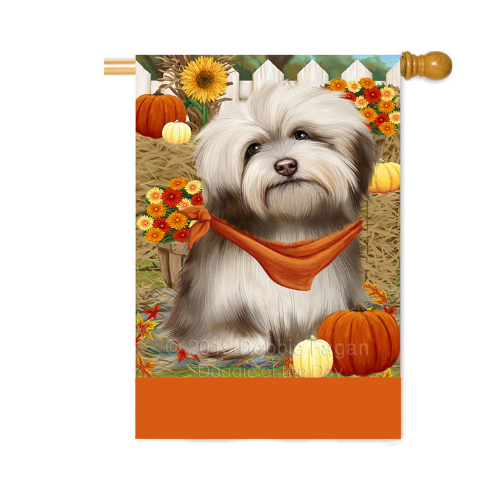 Personalized Fall Autumn Greeting Havanese Dog with Pumpkins Custom House Flag FLG-DOTD-A61997