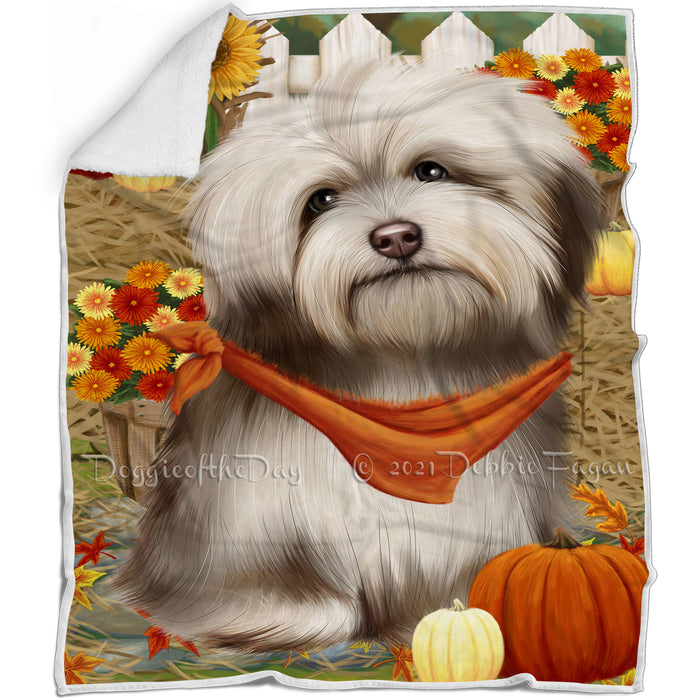 Fall Autumn Greeting Havanese Dog with Pumpkins Blanket BLNKT72939