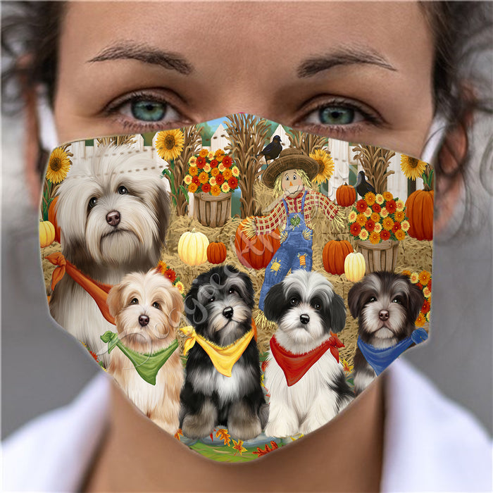 Fall Festive Harvest Time Gathering  Havanese Dogs Face Mask FM48544