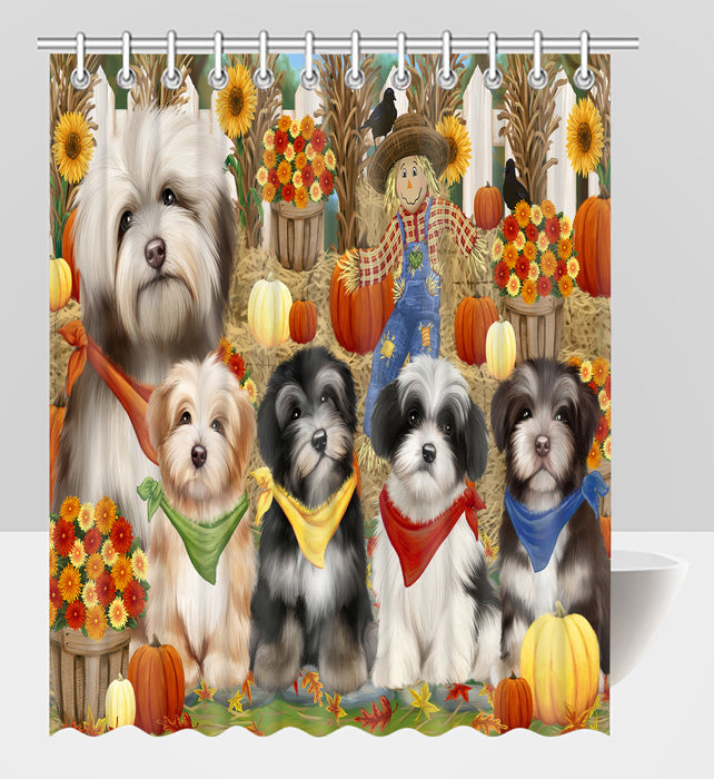 Fall Festive Harvest Time Gathering Havanese Dogs Shower Curtain