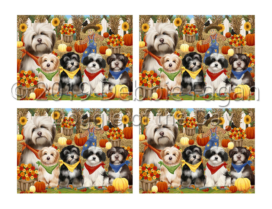 Fall Festive Harvest Time Gathering Havanese Dogs Placemat