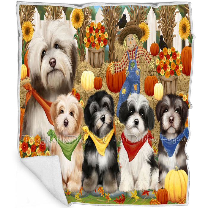 Fall Festive Gathering Havaneses Dog with Pumpkins Blanket BLNKT71904